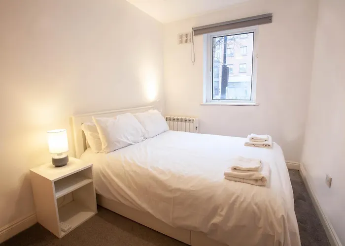 Appartement 2bdr Near Guinness Storehouse And Dub Castle